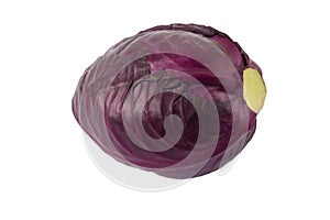 Raw Organic Red Pointed Cabbage