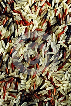 Raw organic rice berry and brown rice mixed texture. Food ingredient background. Top view, healthy lifestyle concept.