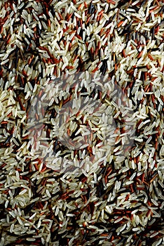 Raw organic rice berry and brown rice mixed texture. Food ingredient background. Top view, healthy lifestyle concept.