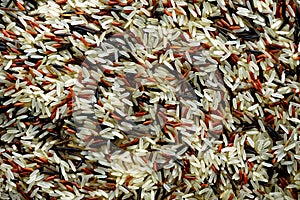 Raw organic rice berry and brown rice mixed texture. Food ingredient background. Top view, healthy lifestyle concept.