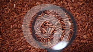 Raw organic rice berry, brown rice mixed texture on rotating background. Food ingredient concept. Top view, healthy