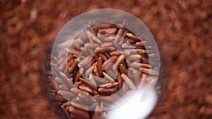 Raw organic rice berry, brown rice mixed texture on rotating background. Food ingredient concept. Top view, healthy