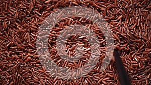 Raw organic rice berry, brown rice mixed texture on rotating background. Food ingredient concept. Top view, healthy