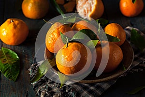 Raw Organic Satsuma Oranges