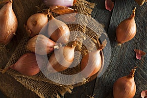 Raw Organic Spicy Shallots