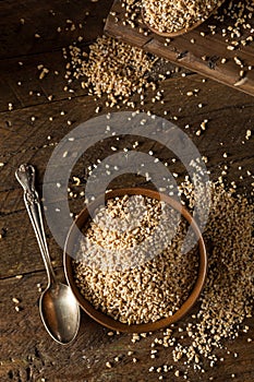 Raw Organic Steel Cut Oats