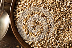 Raw Organic Steel Cut Oats