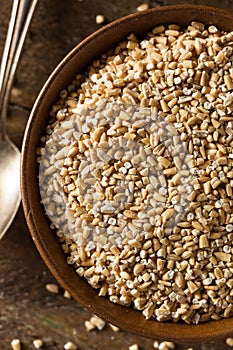 Raw Organic Steel Cut Oats