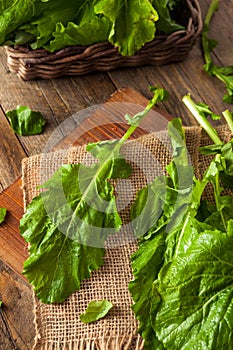 Raw Organic Turnip Greens