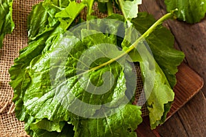 Raw Organic Turnip Greens