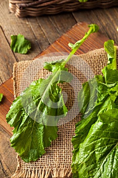 Raw Organic Turnip Greens