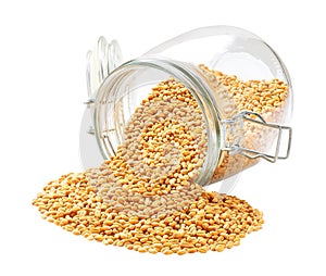 Raw organic wheats spill out of a glass storage jar isolated on white background