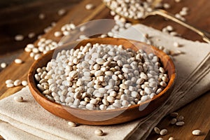 Raw Organic White Navy Beans