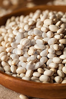 Raw Organic White Navy Beans