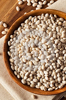 Raw Organic White Navy Beans