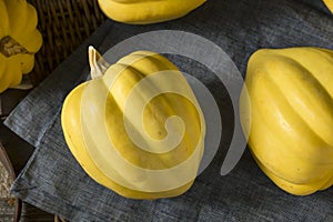 Raw Organic White Yellow Acorn Squash