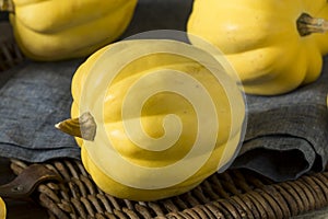 Raw Organic White Yellow Acorn Squash