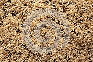 Raw Organic Wild Rice Background