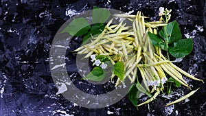 Raw Organic yellow beans with Greenn Leaves on Dark Background. Copy Space for Text. Authentic lifestyle image. Seasonal harvest c