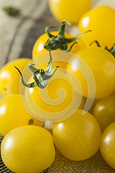 Raw Organic Yellow Cherry Tomatoes