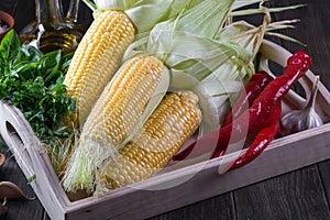 Raw Organic Yellow Corn on the Cob Ready to grill with hot chili pepper garlic and herbs.