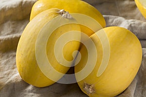 Raw Organic Yellow Spaghetti Winter Squash