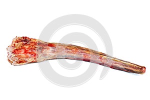 Raw oxtail isolated on a white