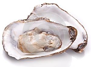 Raw oyster.