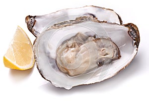 Raw oyster and lemon on a whte background.