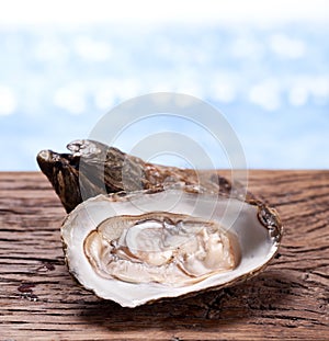 Raw oyster on wood.