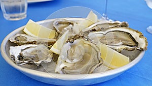 Raw oysters with lemon on the plate