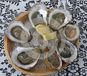 Raw oysters and a littleneck with lemon