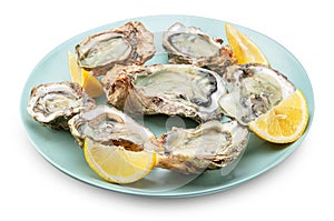 Raw oysters served with lemon slices on plate. Delicacy food. File contains clipping path