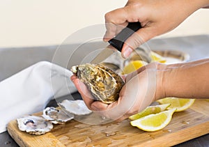 Raw oysters shells