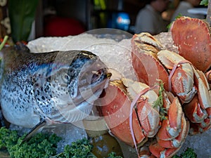 Raw pacific salmon and dungeness crab sitting in ice at a restaurant