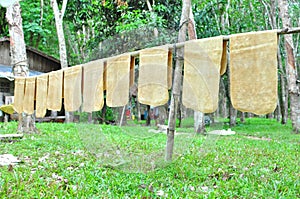 Raw Para Rubber Sheet