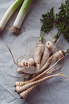 Raw parsley root with green tops and leek lie on burlap. Top view