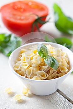 Raw pasta conchiglie