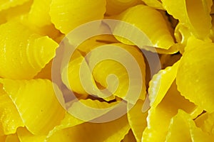 Raw pasta. Pasta closeup background