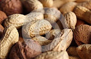Raw peanuts, nuts and hazelnuts dried fruit seen in detail