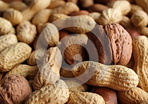 Raw peanuts, nuts and hazelnuts dried fruit seen in detail