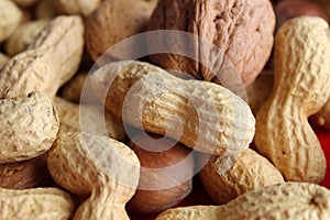 Raw peanuts, nuts and hazelnuts dried fruit seen in detail