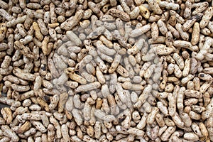 Raw peanuts in a shell texture. Close up of a pile of peanut pods.