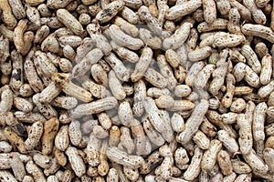 Raw peanuts in a shell texture. Close up of a pile of peanut pods.