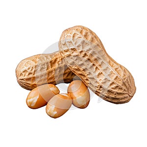 Raw peanuts in shells and kernels on a transparent background