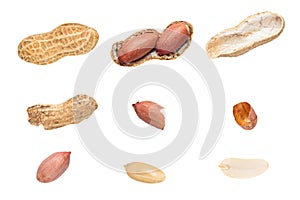 Raw peanuts top view isolated on white background