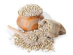 Raw Pearl Barley in bowl and a bag