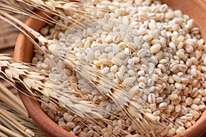 Raw peeled barley grains  (Hordeum vulgare