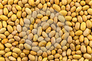 Raw peruvian Canary yellow beans. Uncooked peruano legumes. Food background