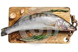 Raw pike perch, pikeperch fish. Fresh fish. Isolated on white background. Top view.